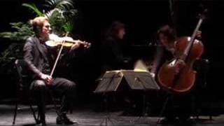 Schubert à Tautavel avec le Trio Capuçon [upl. by Relyc]