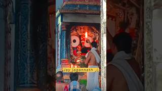 Jay Jagannath 🙏❤️ New Bhajan 2024 rajeshvlogs jagannath viralvideo trending shorts [upl. by Anatlus]