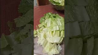 CuttingUp Romaine Lettuce  cuttingup romaine lettuce Imelda Ingram USA [upl. by Lemhar]