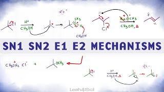 SN1 SN2 E1 E2 Reaction Mechanism Overview [upl. by Avihs539]