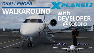 HOTSTART CHALLENGER 650  Detailed Walkaround WITH DEVELOPER Totoro  Real Airline Pilot [upl. by Connors]