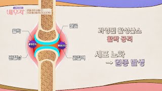 관절을 공격하는 활성산소 아스타잔틴으로 제거하자↗↗  가족의 발견 배우자 163회  JTBC 240123 방송 [upl. by Assiron]