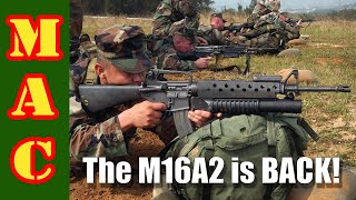 AR15A2s are back A buyers guide to the latest A2s [upl. by Kathi]