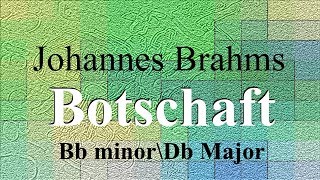 Botschaft  Johannes Brahms  accompaniment  Bb minorDb Major [upl. by Manus853]