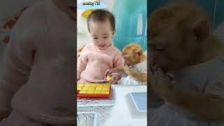 Monkey Titi was surprised to see baby Bear peeling a new cake monkeybaby cute shortsvideo [upl. by Ecyla]