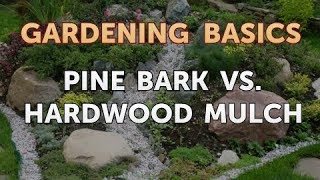 Pine Bark Vs Hardwood Mulch [upl. by Plate953]