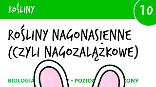 Rośliny 10 🌿 Rośliny nagonasienne czyli nagozalążkowe  matura liceum biologia rozszerzona [upl. by Pachston768]