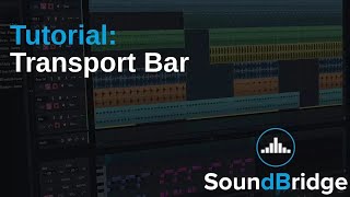 Transport Bar [upl. by Attenol]