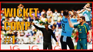 CRICKET 22 WICKET COMPILATION 1  4K QUALITY [upl. by Quinlan]