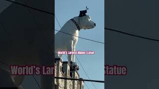 Meet Nipper 4 tons 28’ tall Adorning Albany New York since 1958 [upl. by Harned]