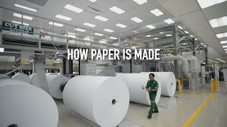 How Paper Is Made [upl. by Leboff]