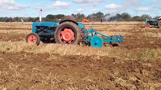 Ongar vintage tractor ploughing dayroxwell Essex 2023 [upl. by Vieva544]