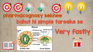 Pharmacognosy STOMATA  SPT [upl. by Pearla281]