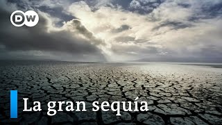 Escasez de agua y embalses vacíos  La gran sequía  DW Documental [upl. by Pearl]