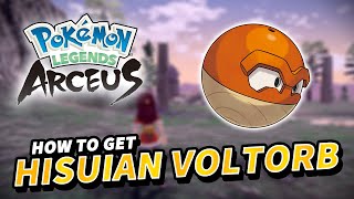 How to get HISUIAN VOLTORB Location  Pokemon Legends Arceus [upl. by Introk]