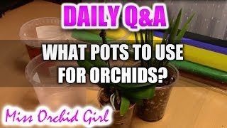 QampA  What pots to use for Orchids [upl. by Mureil480]