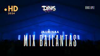 🍻​MIX BAILANTAS JAUMINAA ❌​ DJ DENIS LOPEZ🍻​ [upl. by Yzzik503]