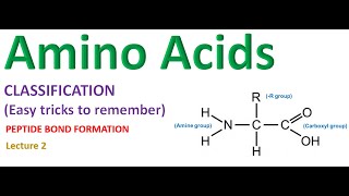 Amino acid  Amino acid structure amp classification  peptide bond Lecture 2 in Hindi DPharmacy [upl. by Assiluy]