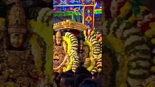 ஓம் நமசிவாய l Sivan Video sivan shiv Tiruvannamalai annamalaiyar girivalam arunachalam lord [upl. by Wrigley]