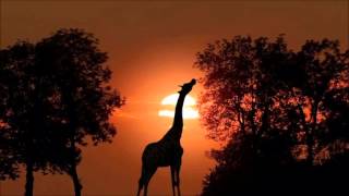 Wonderful Africa Chill out music [upl. by Gothard]