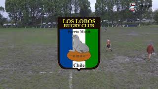 Los Lobos vs Nomades [upl. by Audrit]