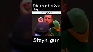 Prime dale Steyn shorts [upl. by Addie728]