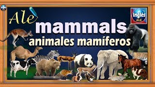 Nombres de Animales en Ingles y Español  Mammal Animal Vocabulary – Animales mamíferos [upl. by Hpejsoj]