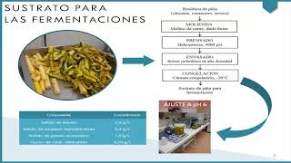 50 quotObtención de proteína unicelular de Candida utilisquot  Sr Sebastián González [upl. by Saalocin]