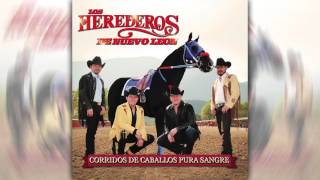 Los Herederos de Nuevo León  El Corrido del Sarape  Audio Oficial [upl. by Koal339]