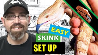 Blue Tongue Skink Setup Simple  Ep 85 [upl. by Onitram225]