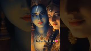 Meera ke prbhu giridhar nagar meera ke mn mohna song🙏💖youtubeshorts shortvideo radhakrishna [upl. by Amsirac]