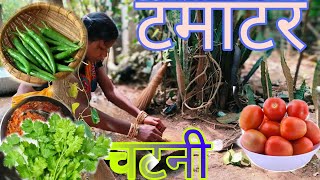 गांव में इस तरह से टमाटर चटनी बनाओ  Make tomato chutney like [upl. by Wulf]