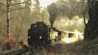 Harzer Schmalspurbahnen März 2012 [upl. by Glaab]