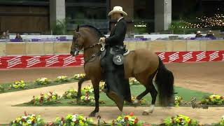 ATHOS DE VILLA MARTA GRAN CAMPEON TROTE Y GALOPE 47 EXPO ORIENTE GRADO A 2023 Asdesilla [upl. by Enitsud754]