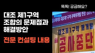 대조 제1구역 조합의 문제점과 해결방안 전문 컨설팅 내용 [upl. by Notsniw666]