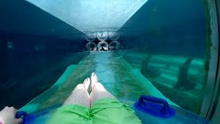 Atlantis Aquaventure  Serpent Slide Ride Through Shark Tank Nassau Bahamas [upl. by Greeley]