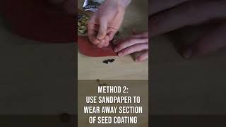 How to Scarify Seeds [upl. by Latreese]