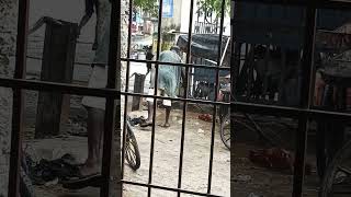 Koyambedu market kachra gandagi saf sutra viralvideo chennai [upl. by Graham]