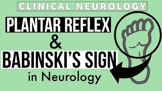 PLANTAR REFLEX  BABINSKIs SIGN  Equivocal Plantar  Other methods  Clinical Neurology [upl. by Nesrac]