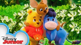 Playdate with Winnie the Pooh  Eeyore Kanga and the Treasure Hunt  Episode 8  disneyjr [upl. by Rehprotsirhc779]