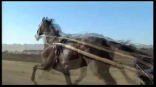 Varenne un atleta chiamato cavallo  TRAILER [upl. by Weinhardt167]