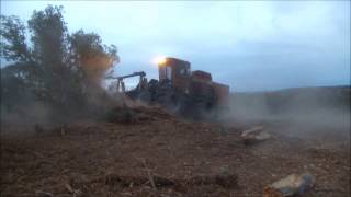 Barko 930 Mulching Juniper and Cedar in Devils Canyon Utah [upl. by O'Donnell]