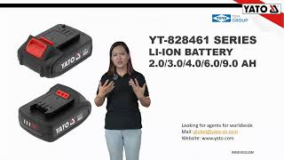 YT828461 SERIES LIION BATTERY 2030406090 AH [upl. by Danuloff]