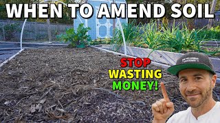 Should You Amend Your Garden Soil Now [upl. by Ahsinnod]