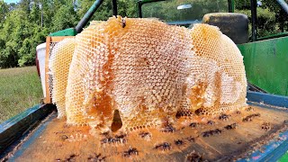 80 Pounds of Liquid GOLD  Honey Harvest 2024 [upl. by Akire]