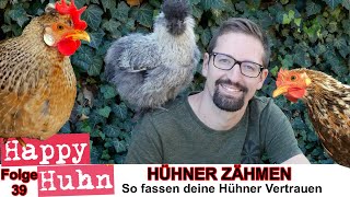 E39 Hühner zähmen Tipps und Tricks  HAPPY HUHN  wie bekommt man ein Huhn zahm und zutraulich [upl. by Irved690]