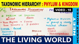 Taxonomic Hierarchy  Phylum or Division  amp Kingdom  The Living World NCERT Notes  NEET 2021 [upl. by Bayly535]