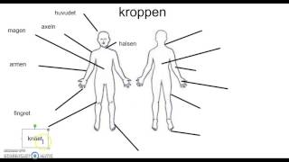 Kroppen sfi A [upl. by Older]