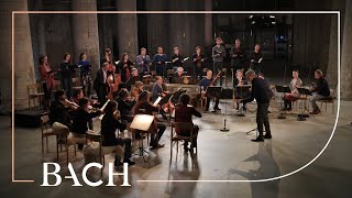 Bach  Cantata Es ist dir gesagt Mensch was gut ist BWV 45  Rademann  Netherlands Bach Society [upl. by Kunz]