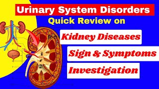 kidney diseases  urinary system diseases  medical surgical nursing  Nursing Veda is live [upl. by Sucramd]